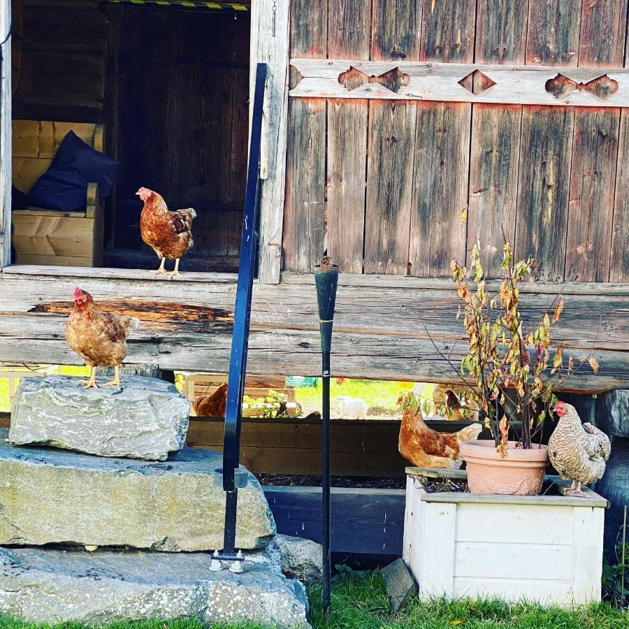 Apartment Hesla Farm