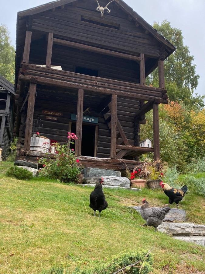 Apartment Hesla Farm Gol